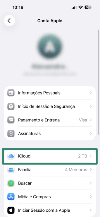 Apple Account screen in iPhone Settings showing iCloud option selected.