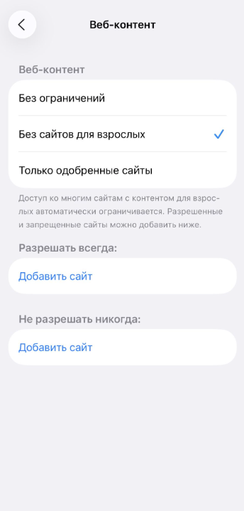 iPhone screen showing how to restrict websites.