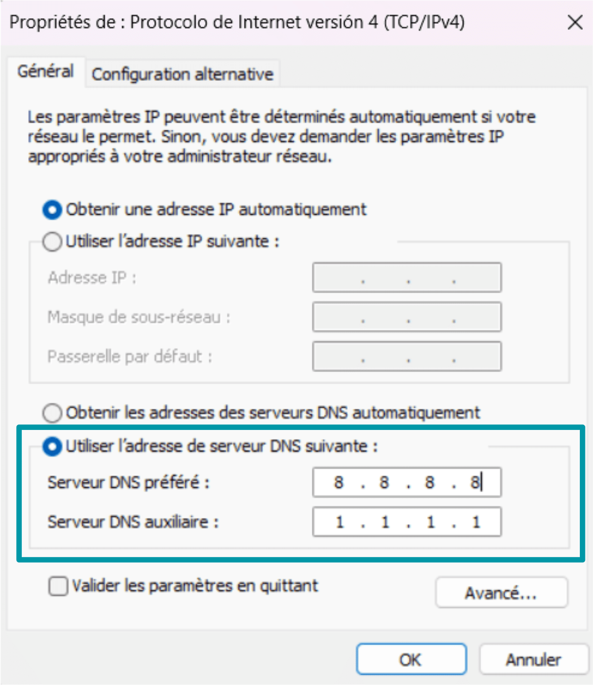 Click Use The Following Dns Server Addresses Fr