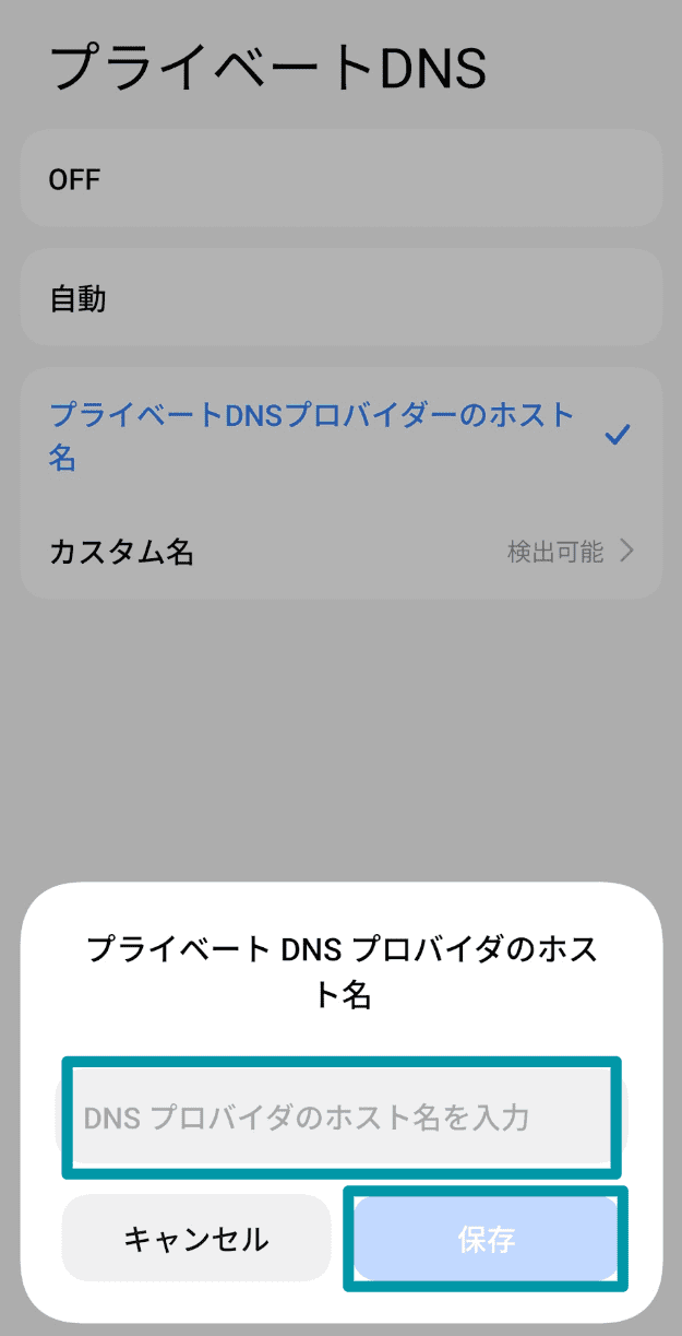 Enter The Dns Provider Settings Ja