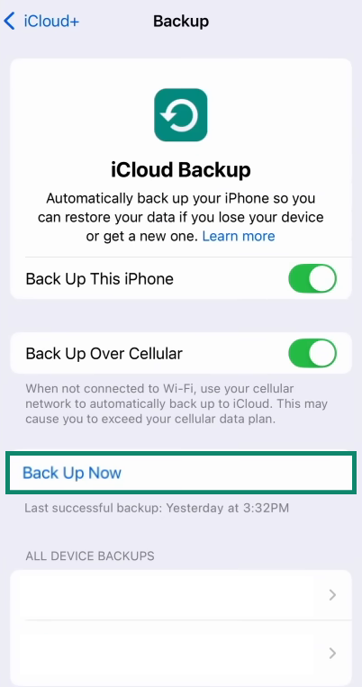 The iCloud Backup screen, showing the Back Up Now button.