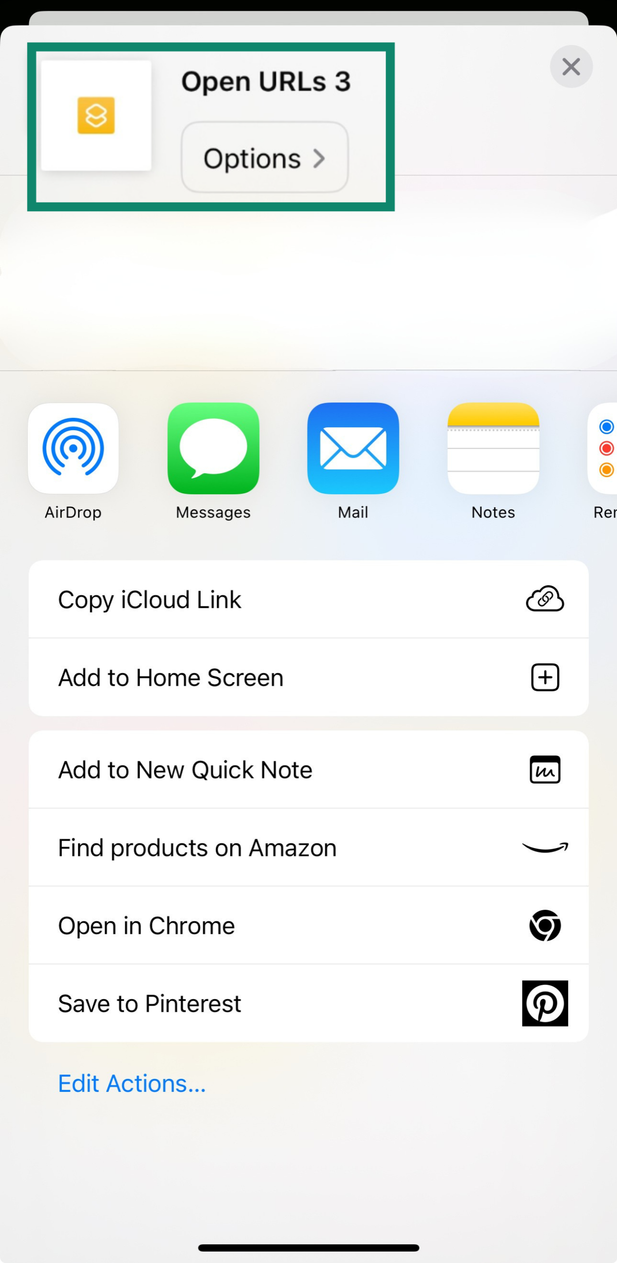 The Open URLs function of an iPhone.