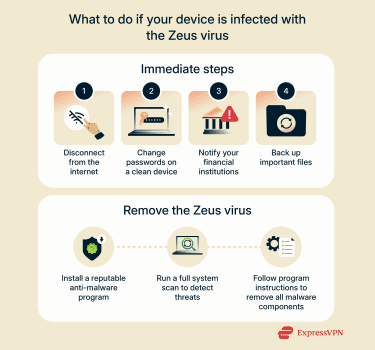 Infographic outlining steps to take if your device is infected by the Zeus virus