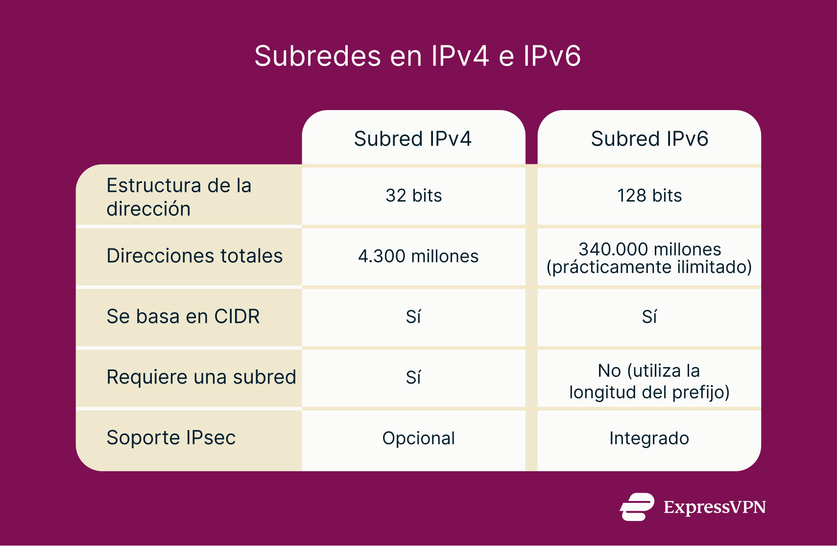 Infographic detailing how subnetting works in IPv4 and IPv6.
