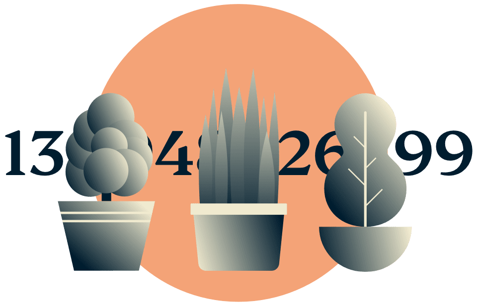 Verbergen Sie Ihre IP-Adresse: Topfpflanzen, die eine IP-Adresse verbergen.