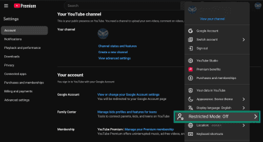 How to enable Restricted Mode on YouTube's web app.
