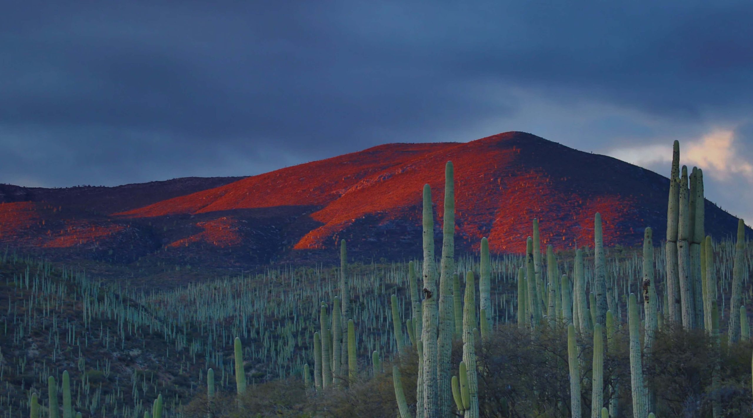 2025年おすすめのメキシコ対応VPNをダウンロード