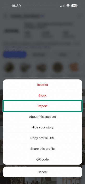 A menu in the Instagram app where you can report a profile.