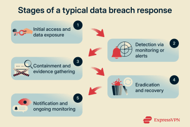 Stages of a data breach response.