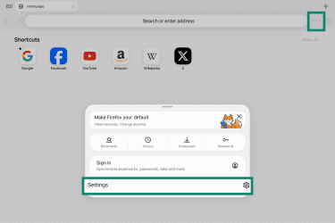 Settings on Firefox for iPad.