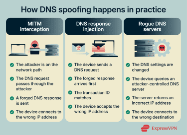 Infographic showing common DNS spoofing techniques.