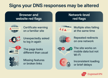 Infographic listing browser and network signs that may indicate DNS spoofing.