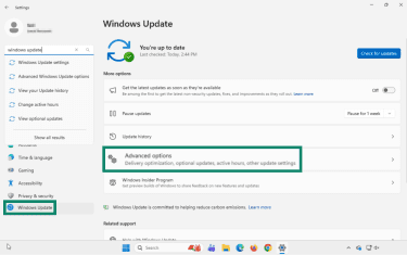 Where to find Windows update options on Windows 11.